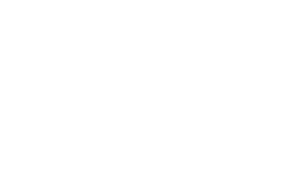 Trendy Twist LTD